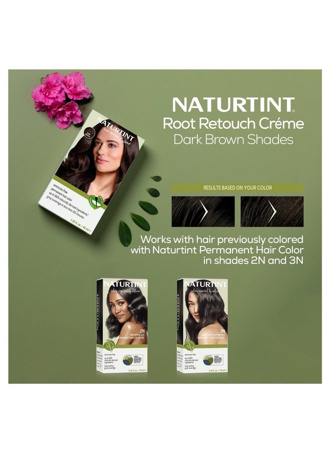 Naturtint Dark Brown Root Retouch Crème Permanent Hair Color - Ammonia Free, Conceal Grays, No Artificial Scent, 1.52 Fl Oz