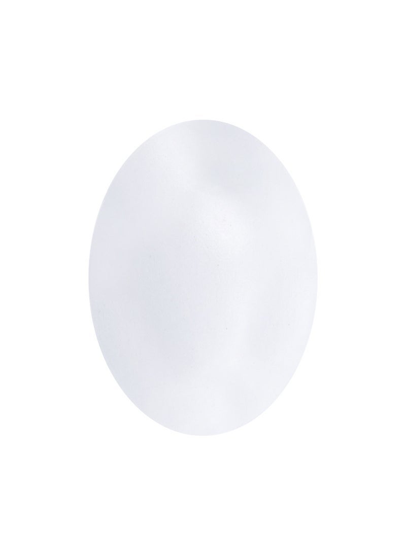 Wooden Pretend Play Eggs DIY Painting Kit White Egg