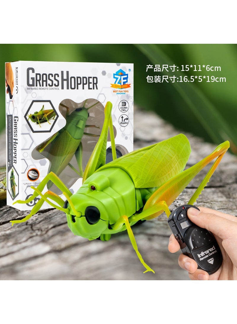 Remote Control Prank Snake Spider Toy 7705 remote control Grasshopper