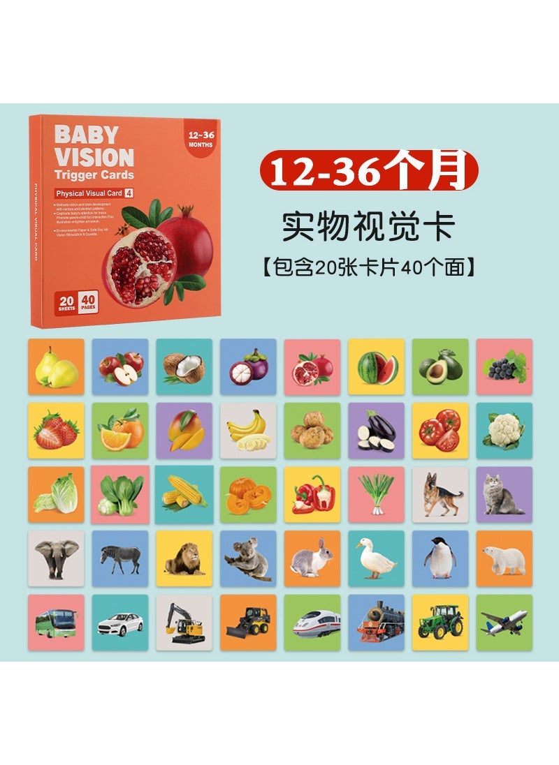Infant Visual Stimulation Education Cards 12-36 months physical visual card