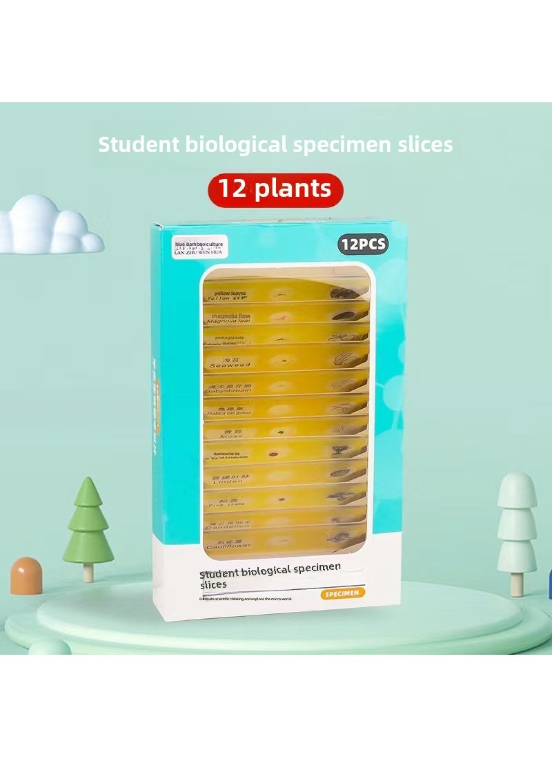Kids Portable Handheld Microscope Toy plant specimen