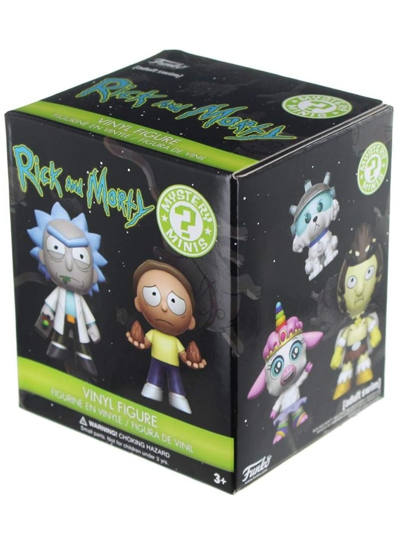 Mystery Mini Rick and Morty Series 1 One Mystery Action Figure