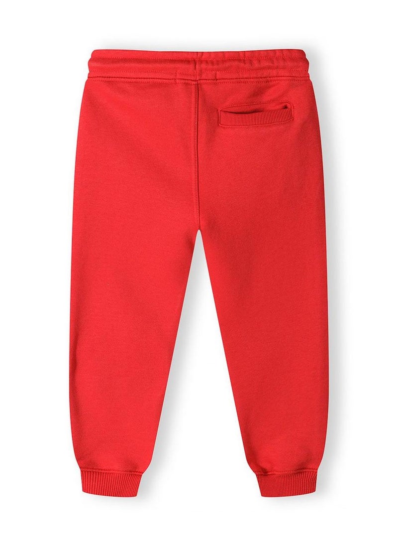 Teen Boys Fleece Jogpant