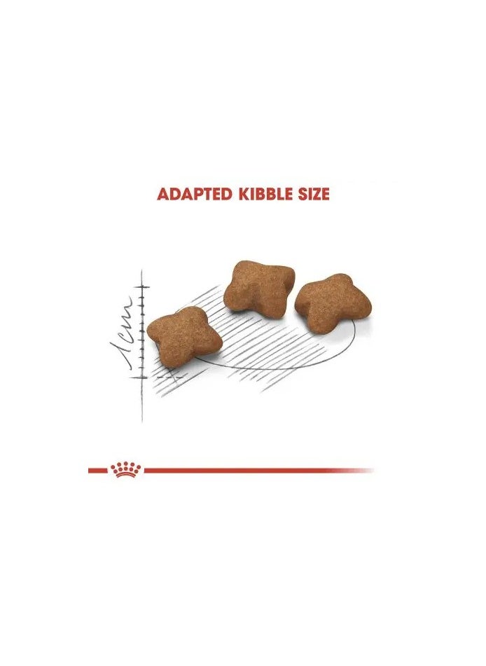 ROYAL CANIN FELINE HEALTH NUTRITION KITTEN STERILISED CAT FOOD 2 KG