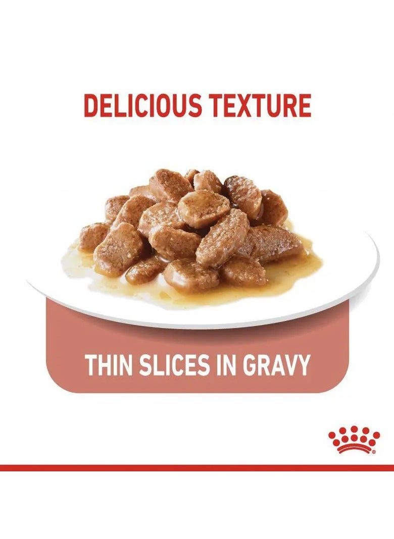 ROYAL CANIN FELINE CARE NUTRITION LIGHT WEIGHT CARE WET FOOD 12X85G