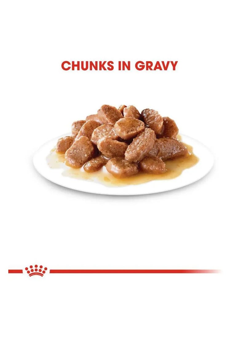 ROYAL CANIN FELINE CARE NUTRITION HAIRBALL GRAVY WET FOOD 12 X 85G