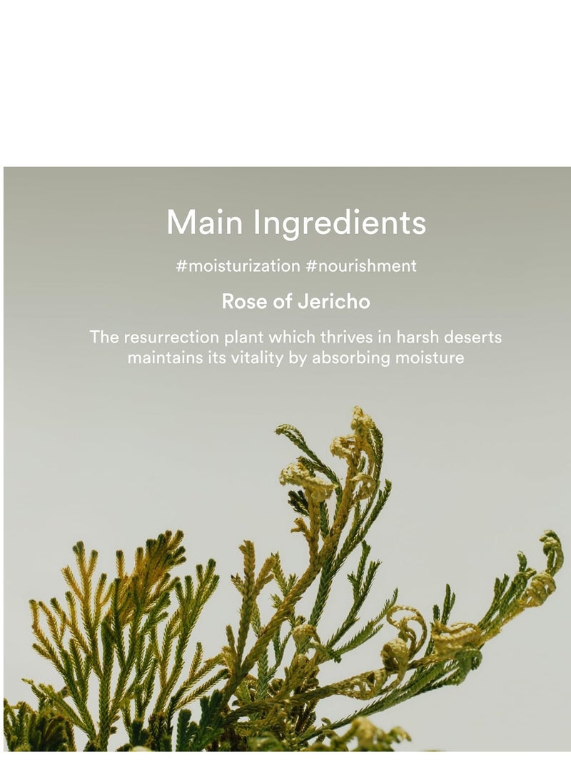 Abib Collagen Eye Crème Jericho Rose Tube for Dark Circles and Puffiness, Under Eye Fine Lines