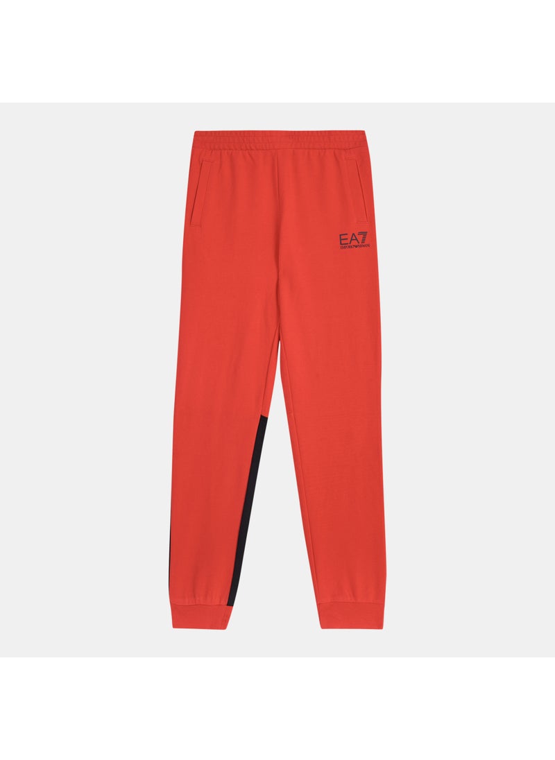 Kids' Train Logo Series Joggers (Older Kids)