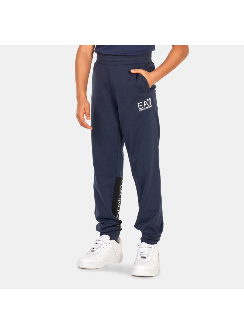 Kids' Train Logo Series Joggers (Older Kids)