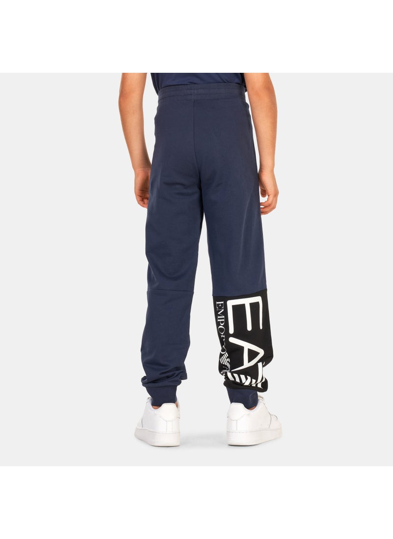 Kids' Train Logo Series Joggers (Older Kids)