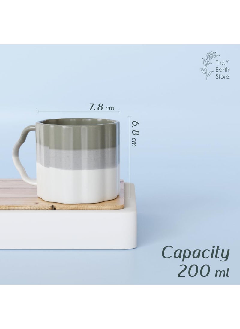 The Earth Store Tritone Metallic Grey Frontier Tea Cups Set of 6 Microwave and Dishwasher Safe Perfect for Every Occasion Capacity 200 ml Each