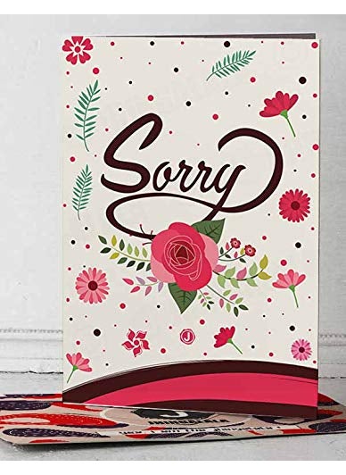 Jhingalala Sorry Gifts Teddy Bear with Sorry Printed Coffee Mug and Greeting Card Combo Sorry Gifts for Girlfriend Boyfriend Husband Wife Friend Sister
