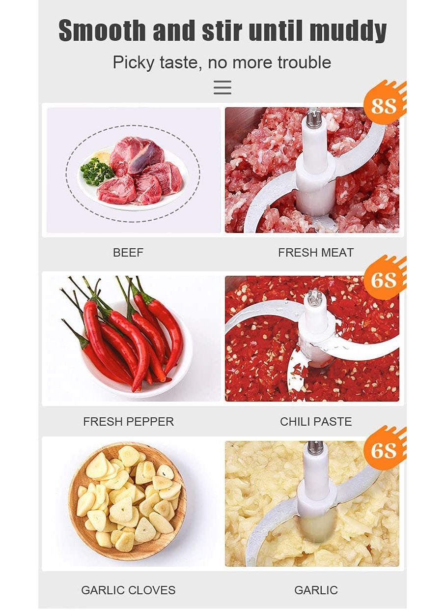 VBM Meat Grinder Electric Meat Chopper and Sausage Stuffer Vegetable Chopper Machine 2L250W for Meat Vegetable Onion and FruitsStainless Steel Bowl
