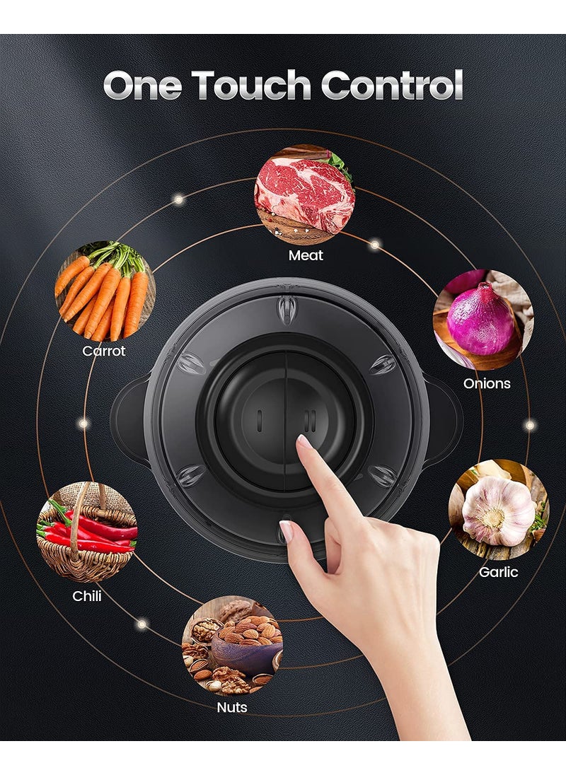 JENY Electric Meat Grinders with Bowl 400W Heavy for Kitchen Food Chopper Meat Vegetables Onion Garlic Slicer Dicer Fruit Nuts Blender 4 Detachable Stainless Steel Blades Fast Slow 2 Speeds