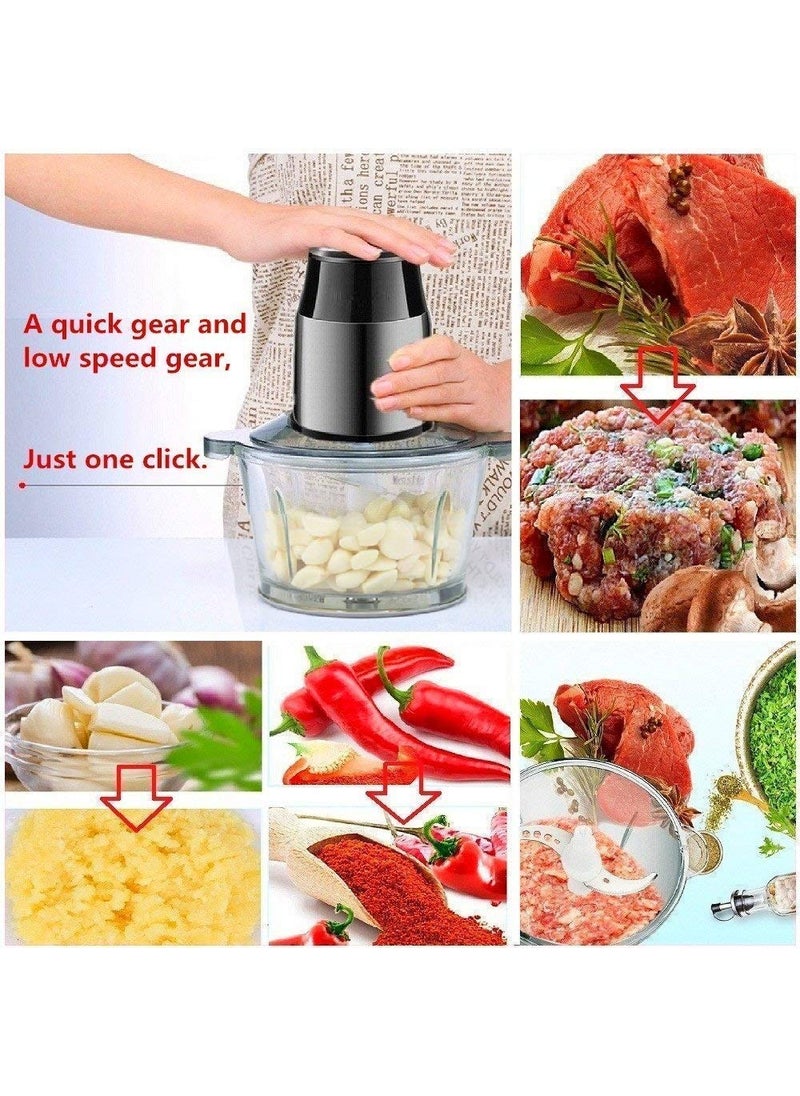 JENY Stainless Steel and Glass Electric Meat Grinders with Bowl for Kitchen Food Chopper Meat Vegetables Fruit and Nuts Blender StandardMulti