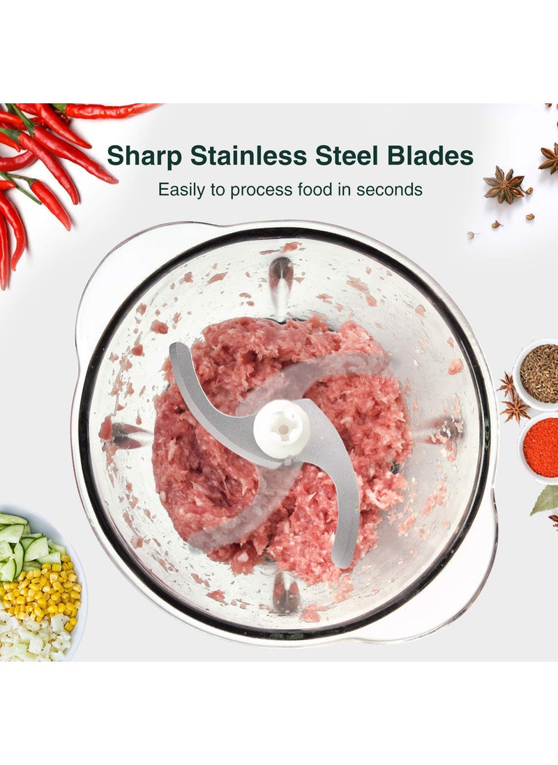 JENY Stainless Steel and Glass Electric Meat Grinders with Bowl for Kitchen Food Chopper Meat Vegetables Fruit and Nuts Blender StandardMulti