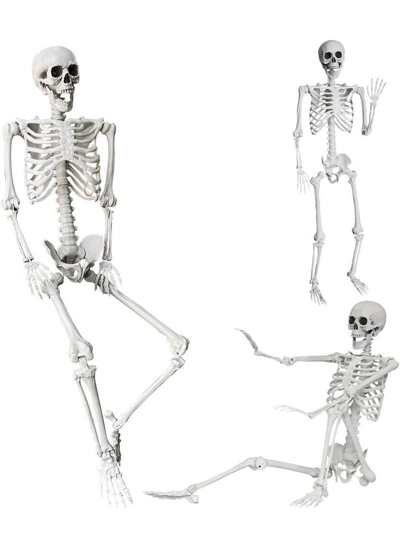 LUDALY 54Ft165cm Halloween Skeleton Full Body Life Size Human Bones with Movable Joints for Indoor Outdoor Halloween Props Decorations