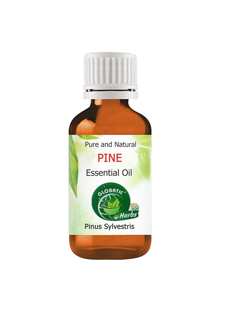Globatic Herbs PINE Essential Oil 30ml (Pinus Sylvestris) Organic, Undiluted, Aromatherapy & 100% Therapeutic Grade
