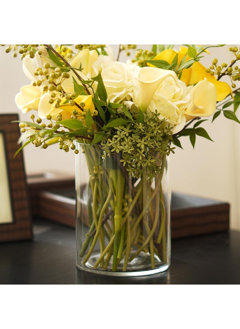 Rishabh Home Decoration Glass Flower Vase Cylinder Wide Vase 6 inchi by12 Inch