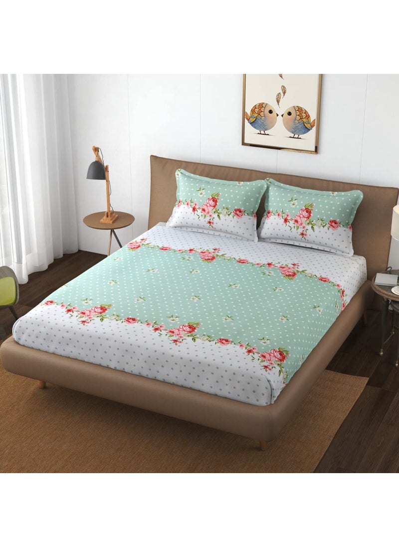 Tiptrek 240 TC 100 Pure Cotton Feel Queen Size Double Bed Sheet Bedsheet with Two Pillow Covers Bedsheet Size 90x100 Inches Pillow Cover 18x28 Inches GRNDOTT