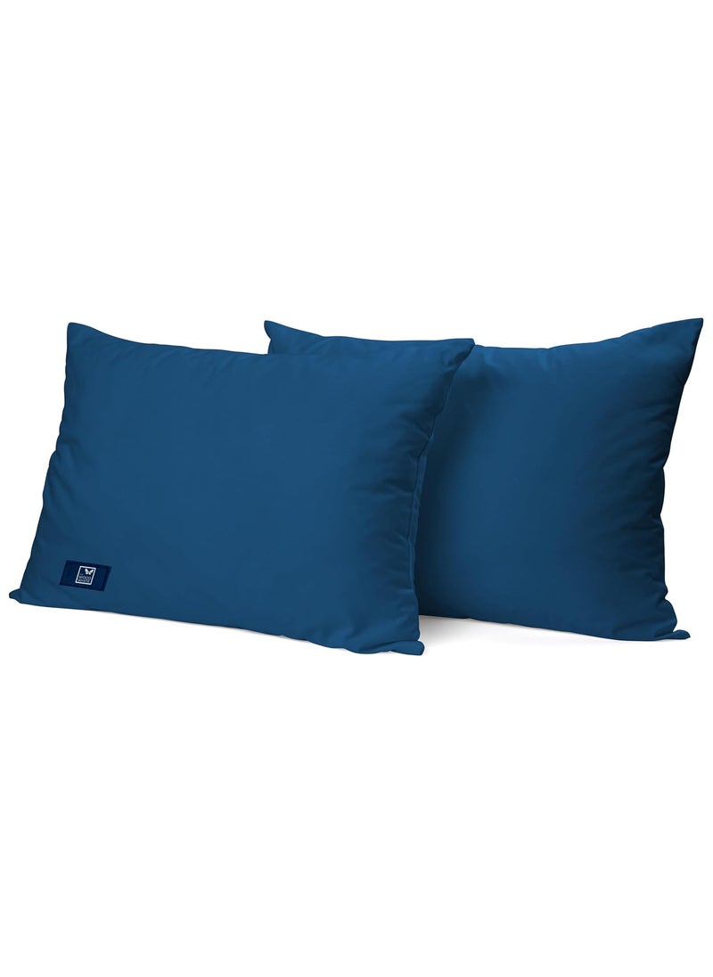 THE WOOD WHITE Microfiber Blue Soft Pillows Set of 2 16 x 24 Inches