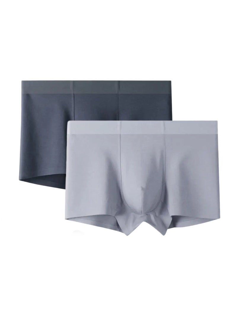 2 Pieces Mens Tagless Boxer Briefs