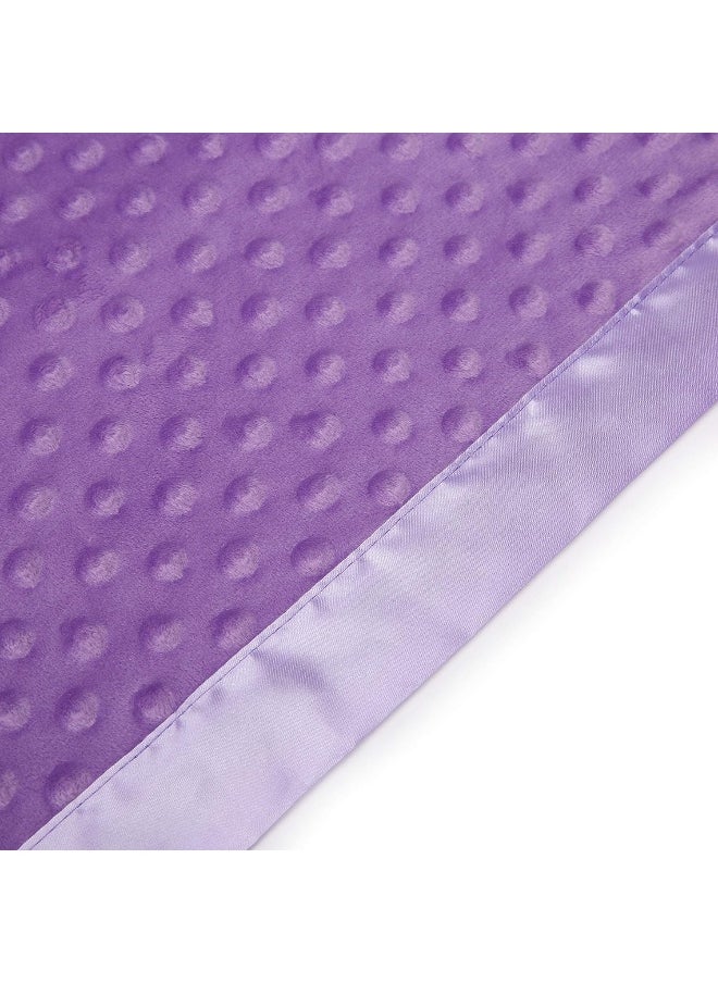 Pro Goleem Baby Soft Minky Dot Blanket with Silky Satin Backing Gift for Boys and Girls