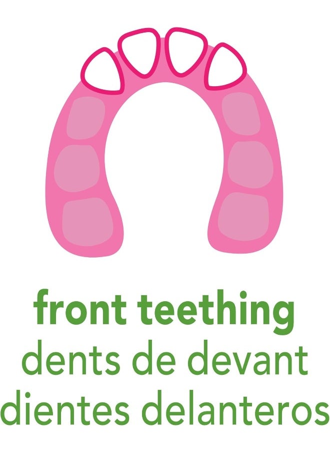 green sprouts Cooling Teether (One Size, Pink Strawberry)