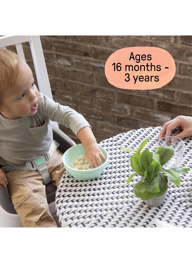 Ingenuity SmartClean Toddler Booster Seat for Dining Table with 3-Point Harness Straps