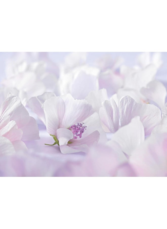 Weleda Face Cream Baby Derma White Mallow