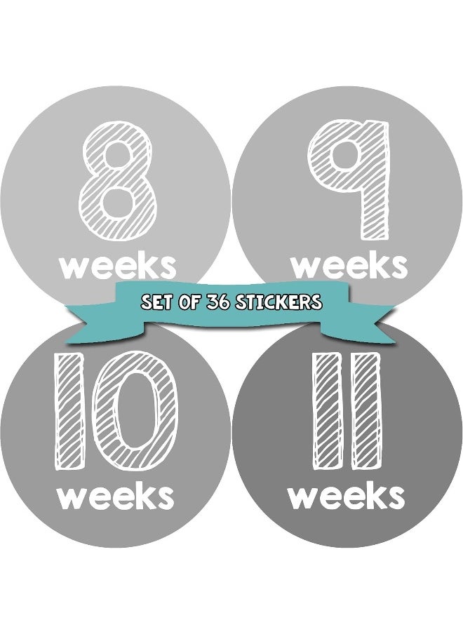 Months In Motion Pregnancy Weekly Belly Growth Stickers - Week to Week Pregnant Expecting Photo Prop - Maternity Keepsake - Baby Bump - Large Set of 36 Weekly Photo Sticker