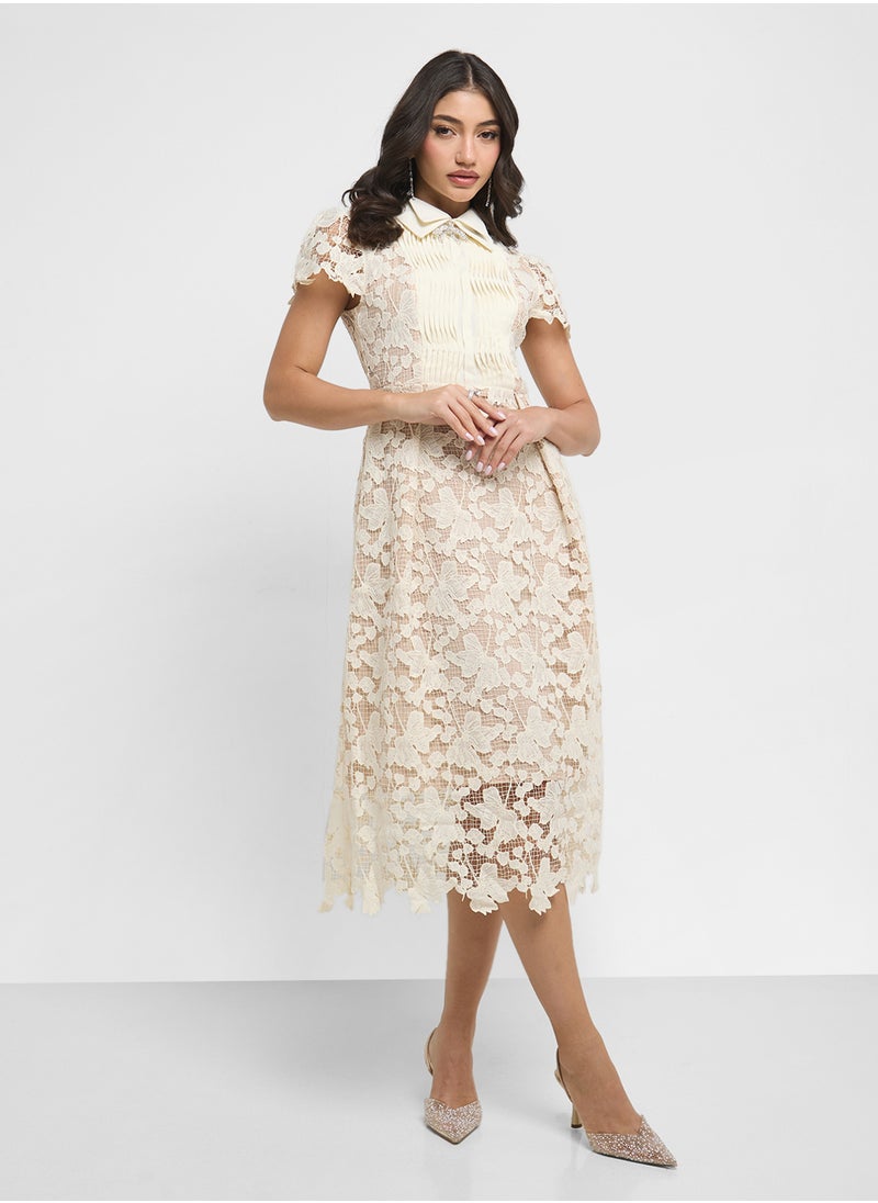 Lace Dress