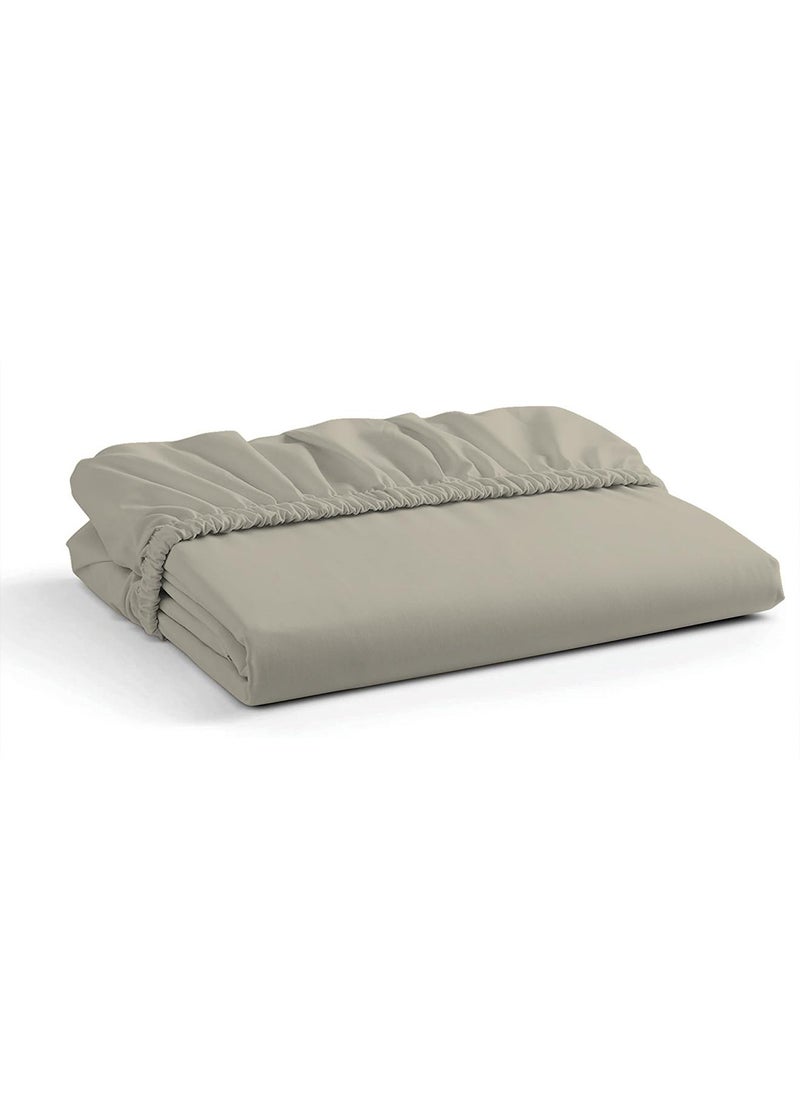 Solid 1 Fitted Sheet Double Cotton:Polyester Tan 200x120cm
