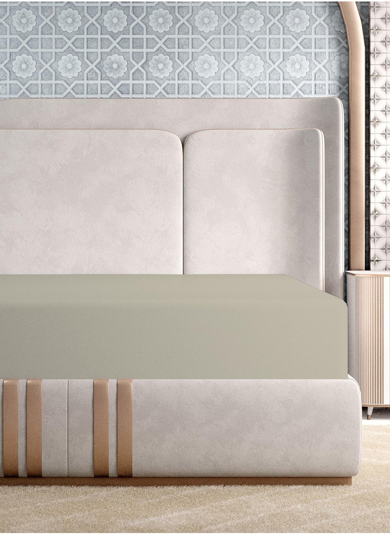 Solid 1 Fitted Sheet Double Cotton:Polyester Tan 200x120cm