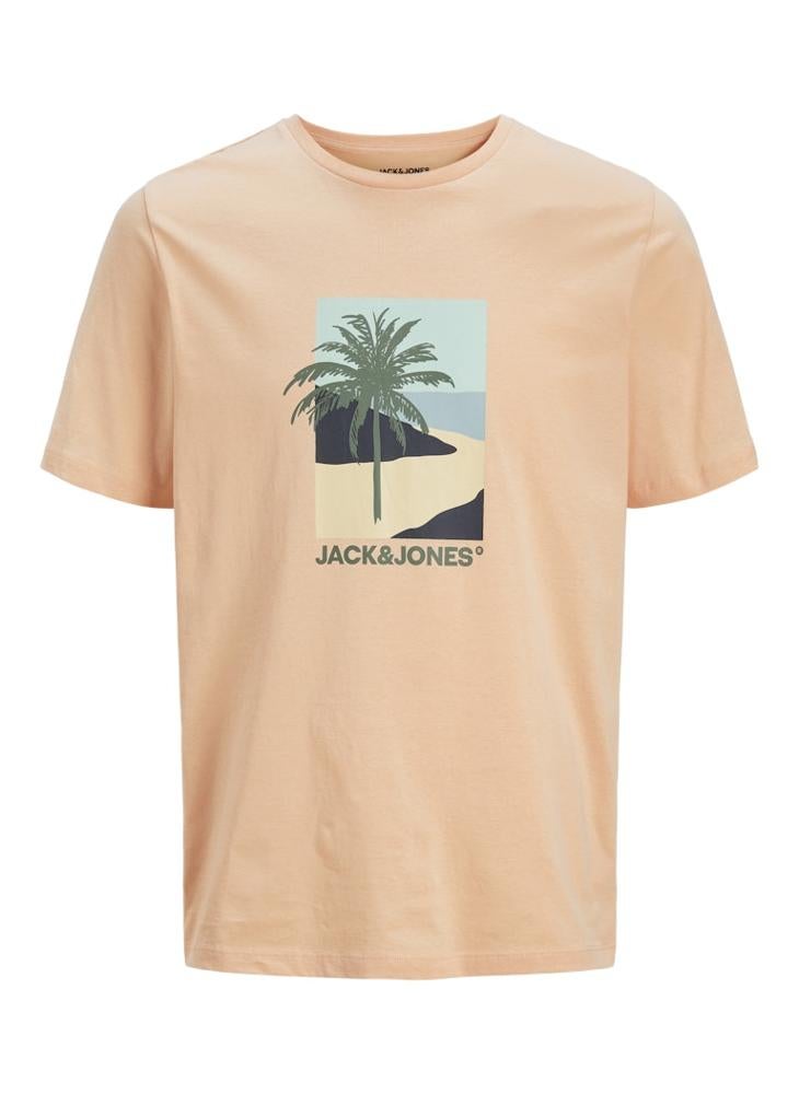 JJBARBADOS TEE SS CREW NECK