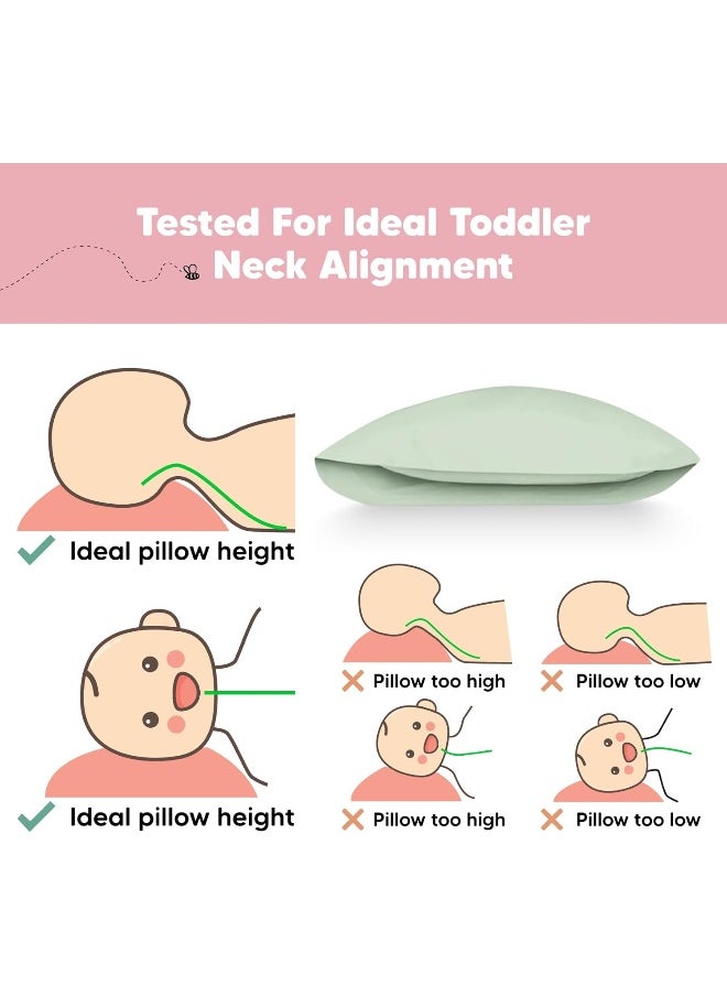 Toddler Pillow with Pillowcase - 13x18 My Little Dreamy Kids Travel Bed Pillows for Sleeping, Organic Cotton Small Pillowcase, Soft & Breathable, Machine Washable, Toddlers 2-5 Years Old (Sage)