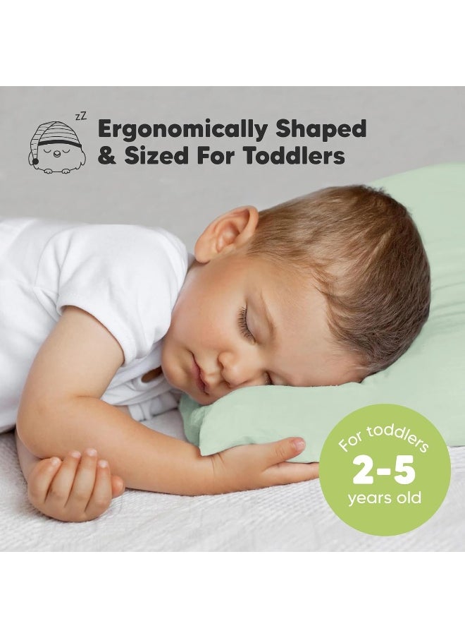 Toddler Pillow with Pillowcase - 13x18 My Little Dreamy Kids Travel Bed Pillows for Sleeping, Organic Cotton Small Pillowcase, Soft & Breathable, Machine Washable, Toddlers 2-5 Years Old (Sage)