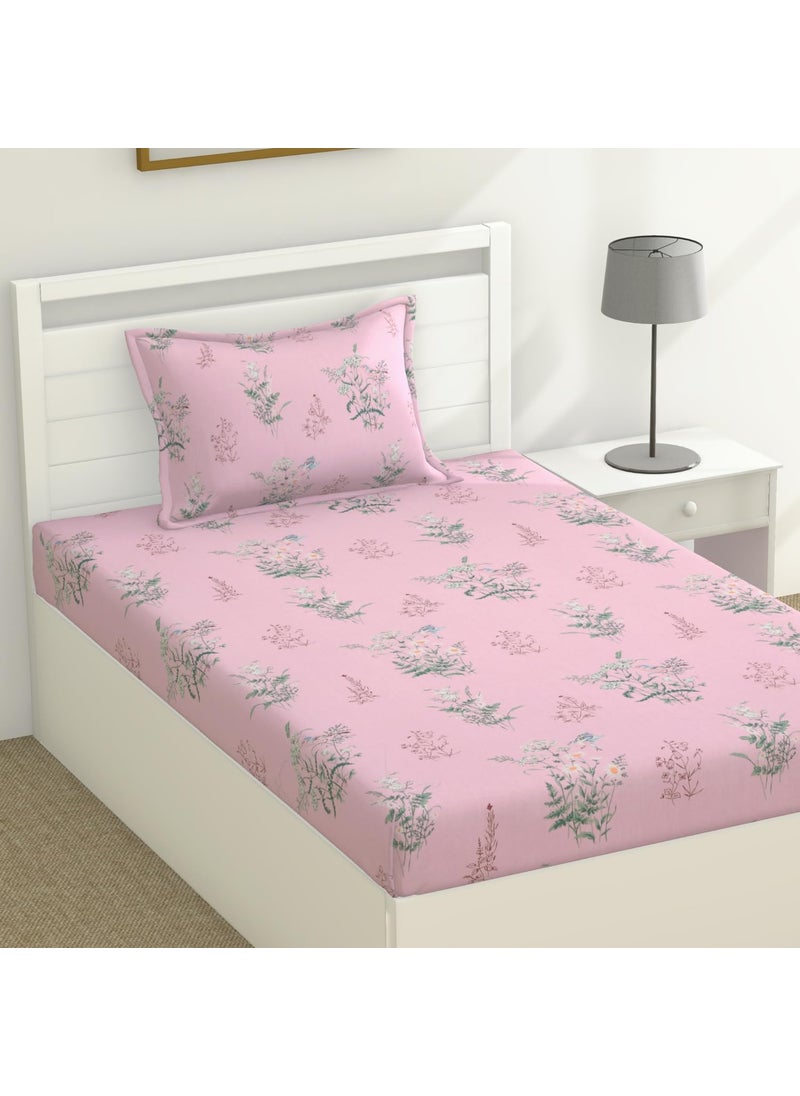 Haus Kinder 100 Cotton Single 12O TC Bed Sheet with 1 Pillow Cover Breathable Durable AffordablePeach Bird Design Bed Set