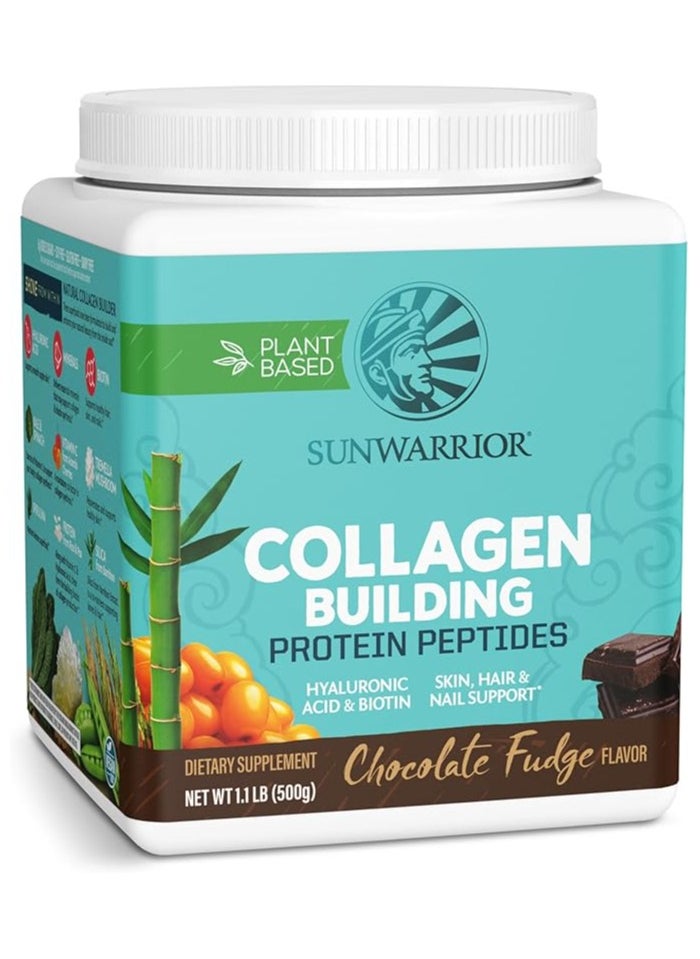 Sunwarrior Plant-Based Collagen Building Protein Peptides Chocolate Fudge – 500g, with Hyaluronic Acid & Biotin