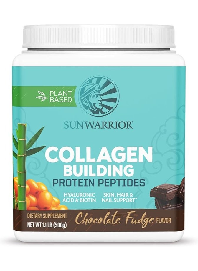 Sunwarrior Plant-Based Collagen Building Protein Peptides Chocolate Fudge – 500g, with Hyaluronic Acid & Biotin