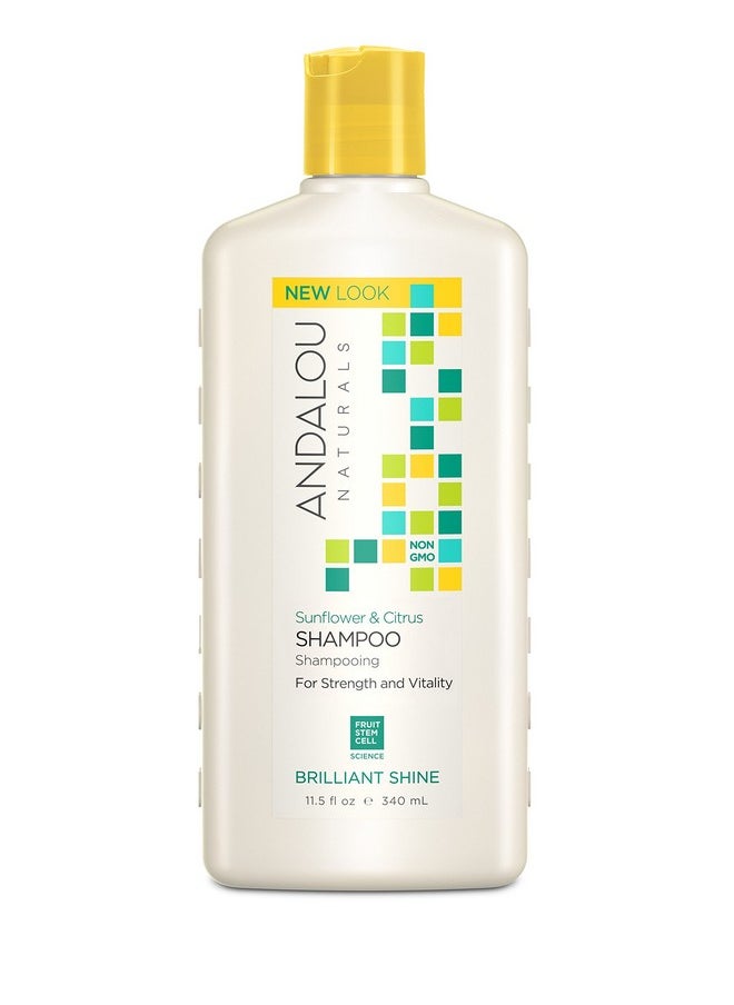 Andalou Naturals Sunflower and Citrus Brilliant Shine Shampoo, 11.5 Ounce