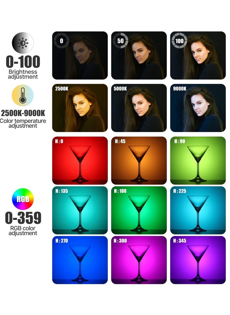 ULANZI VL49 RGB Video Lights, LED Camera Light 360° Full Color Portable Photography Lighting w 3 Cold Shoe, 2000mAh Rechargeable CRI 95+ 2500-9000K Dimmable Panel Lamp Support Magnetic Attraction