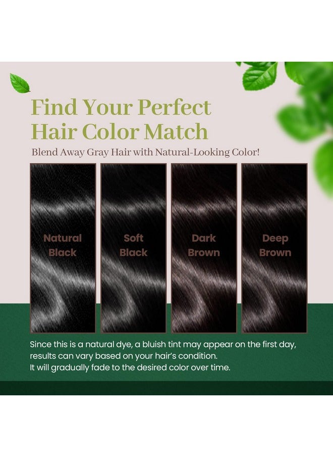 DONGSUNG Herb Speedy Color Cream (Soft Black, 1 Pack) PPD Free, Ammonia Free, Vegan Hair Dye Contains Sun Protection Odorless No more Eye and/or Scalp Irritations From Coloring For Sensitive Scalp