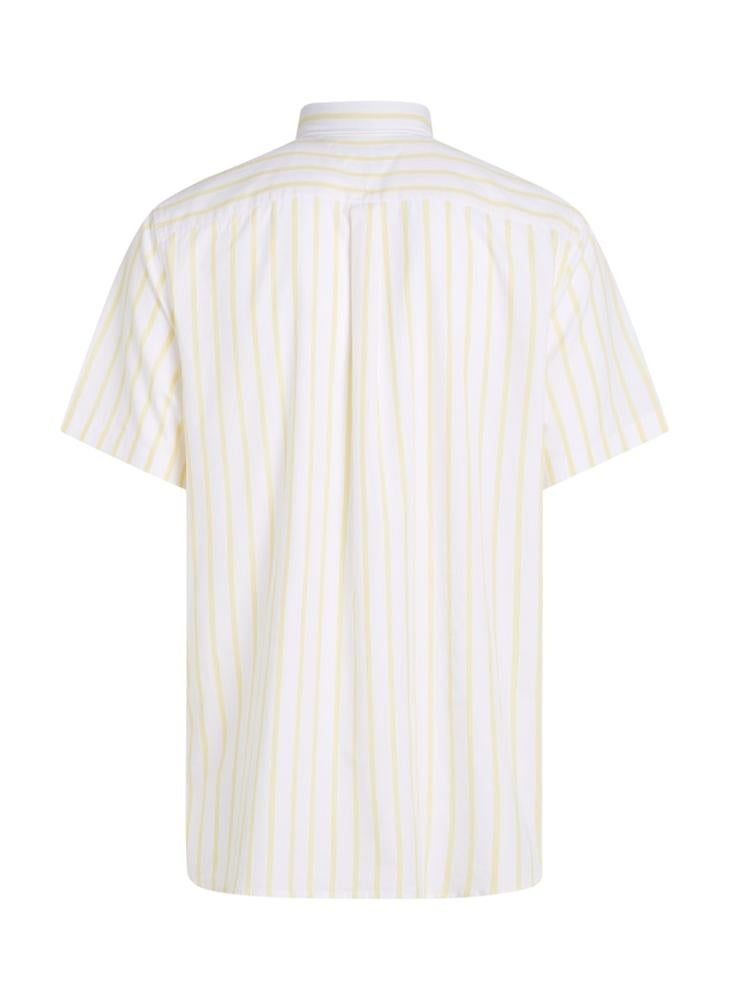 Flex Cotton Poplin Stripe Short Sleeve Shirt