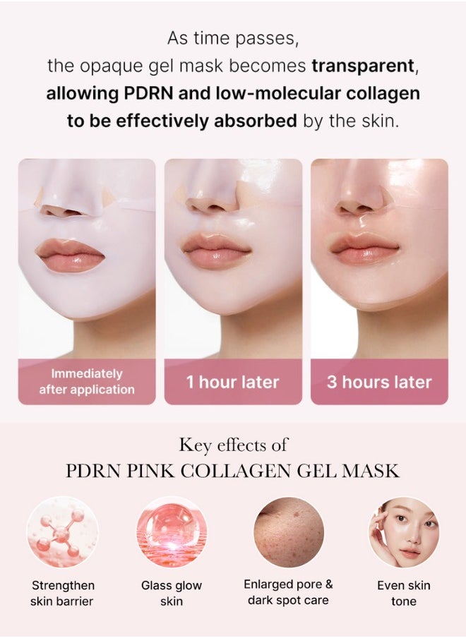 PDRN Pink Collagen Gel Mask - 28g (Pack of 3 Sheets)