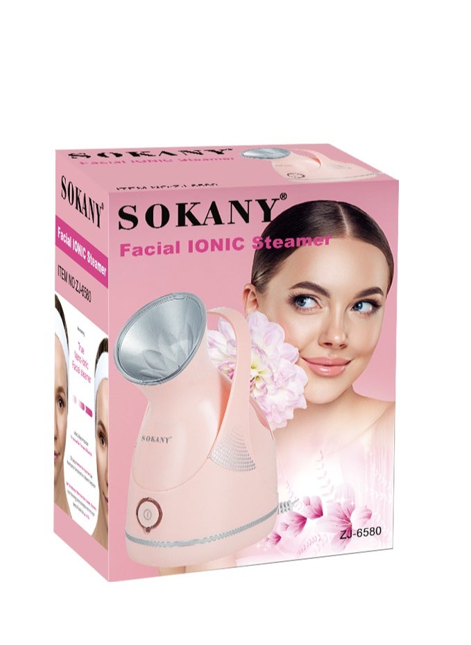 Facial Sauna Humidifier, Home Sauna Steamer Nano Ion Face Steaming Device, Model ZJ-6580-- BFD, Suitable For Pore Cleaning, Whitening, Blackhead Removal, And Skincare - Plug: European Standard
