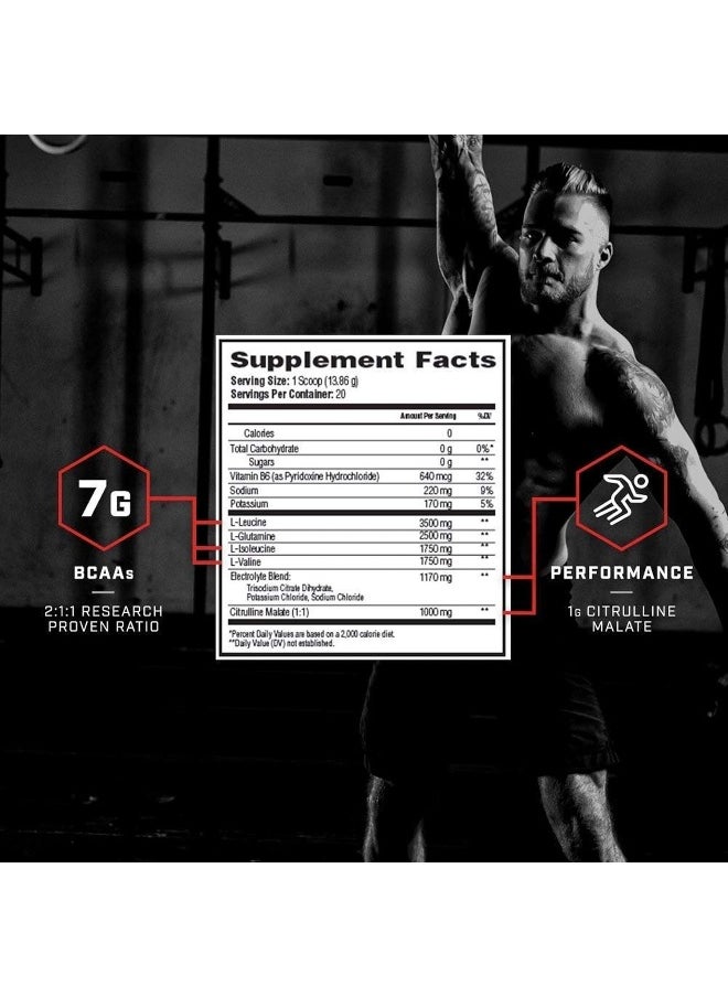 Xend BCAA Nutritional Supplement (30 Servings, Blue Raspberry Ice)