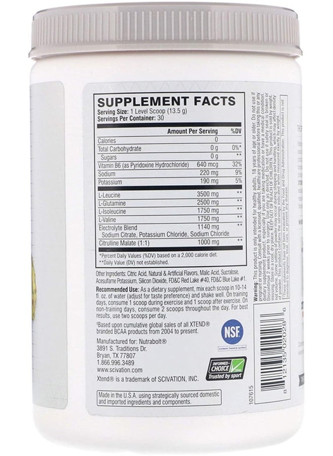 Xend BCAA Nutritional Supplement (30 Servings, Blue Raspberry Ice)