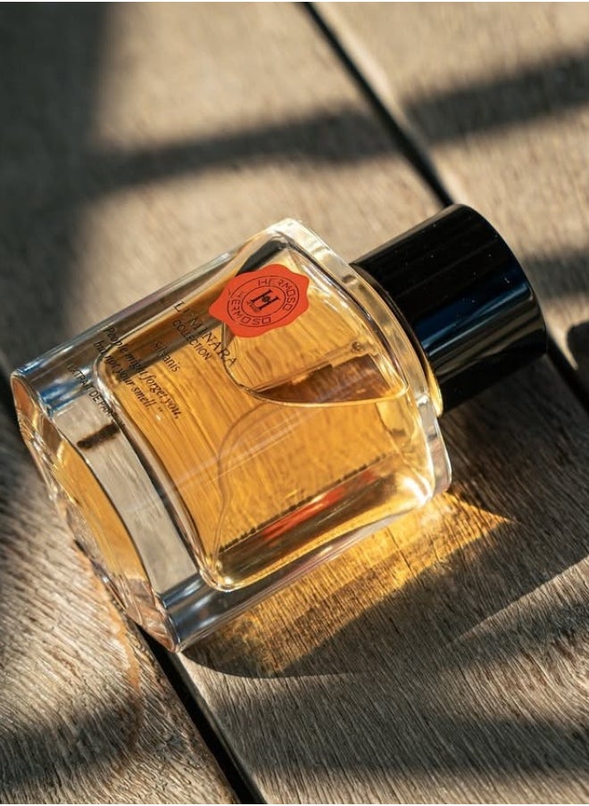 Nejati Luminara Aurasil Extrait de Parfum 100ml | Premium Unisex Perfume | Elegant, Long Lasting Fragrance