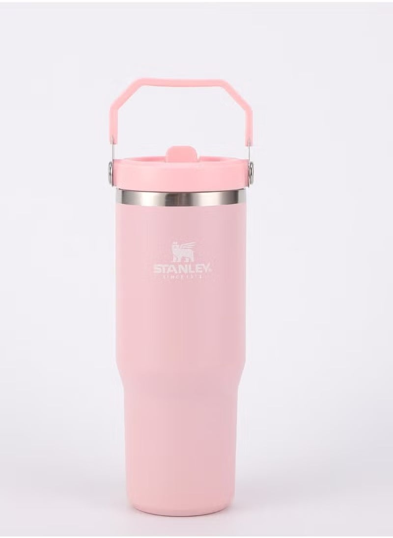 Stainless Steel Tumbler - Vacuum Insulated Water Bottle for Home, Office or Car Reusable Cup with Straw Leak Resistant Flip Cold for 12 Hours or Iced for 2 Days, 30oz